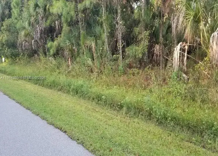 0 Cloras St, North Port FL 34287 photo 2