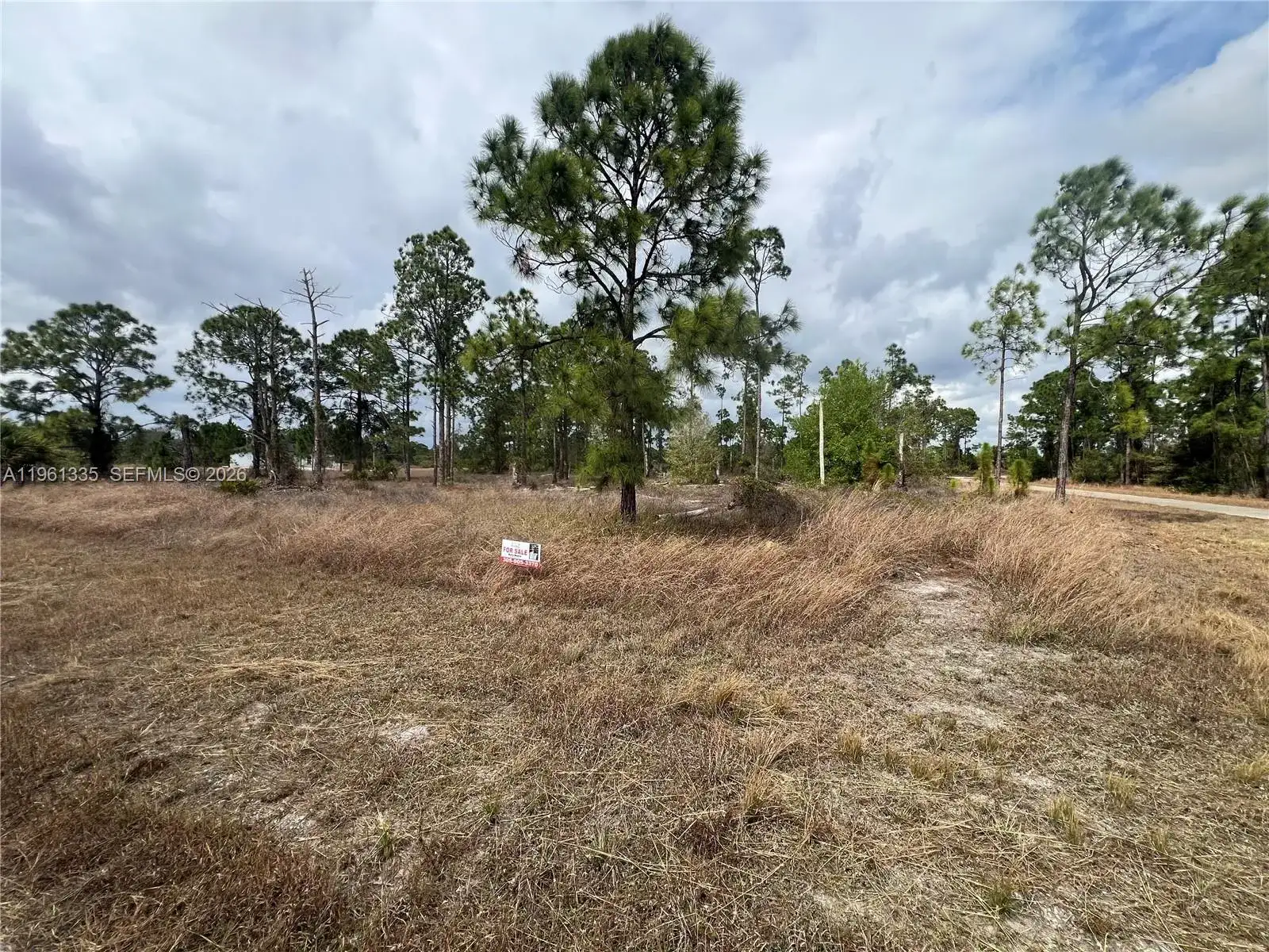 714 Giorgio Ave, Other City - In The State Of Florida FL 33974 photo 2
