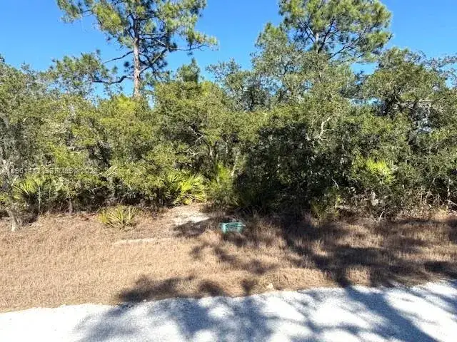 3221 N Dahlia, Lake Placid FL 33852