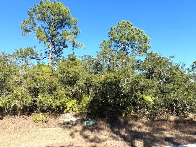 3221 N Dahlia, Lake Placid FL 33852 photo 2