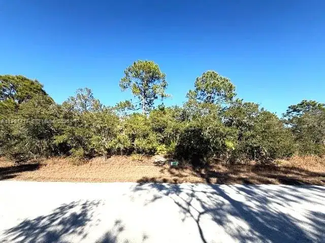 3221 N Dahlia, Lake Placid FL 33852 photo 3
