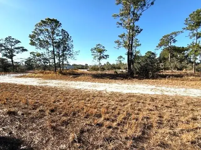 547 Branchwood Ave, Lake Placid FL 33852
