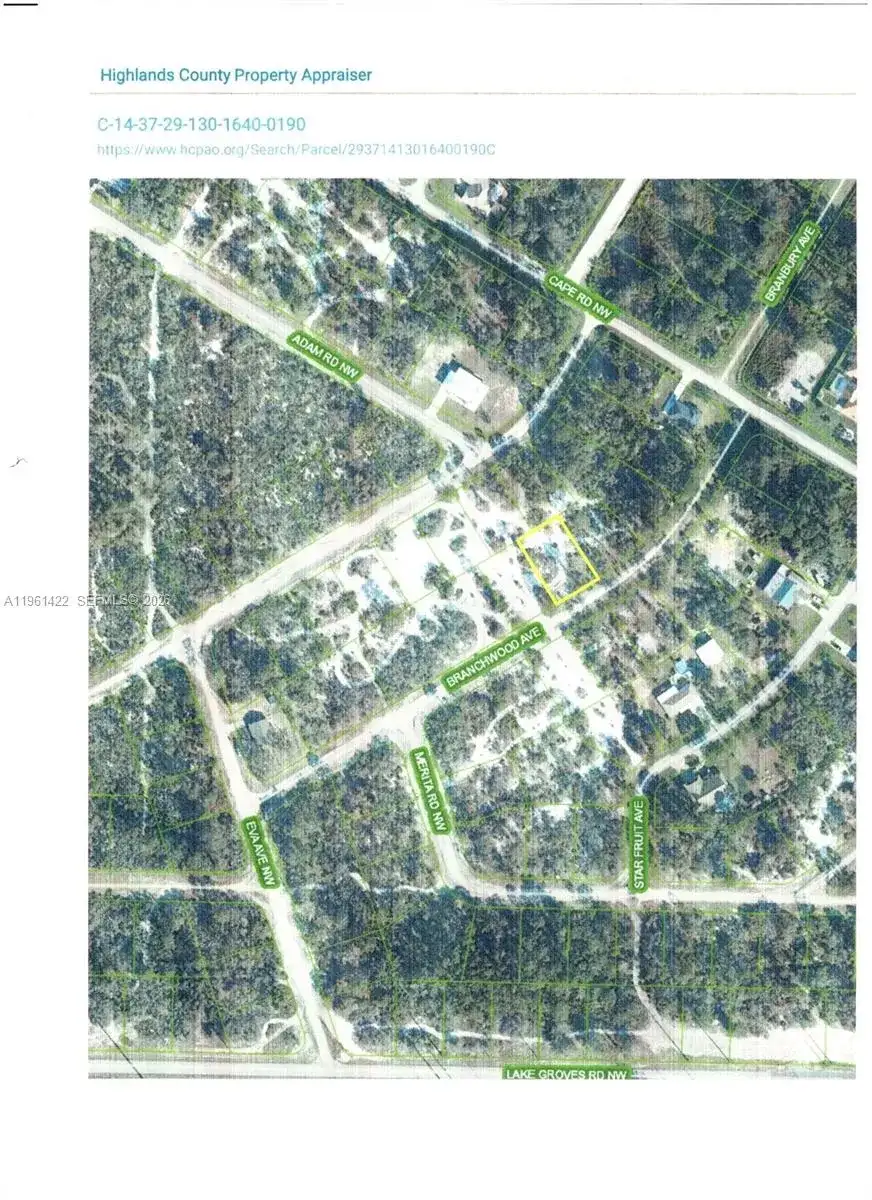 547 Branchwood Ave, Lake Placid FL 33852 photo 4