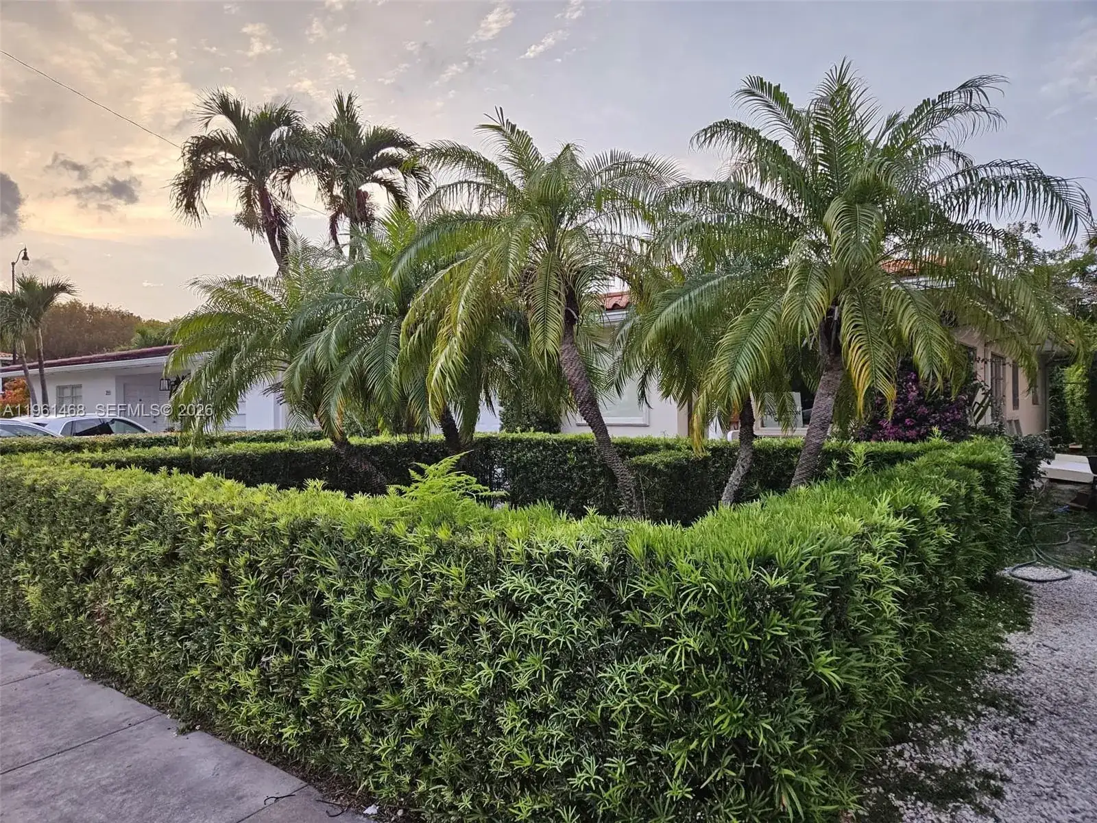 345 Malaga Ave, Coral Gables FL 33134 photo 3