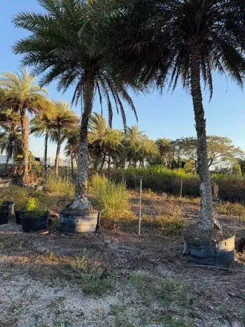 17450 SW 208th St, Miami FL 33187 photo 2