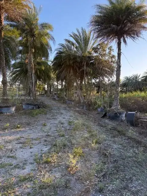 17450 SW 208th St, Miami FL 33187 photo 5