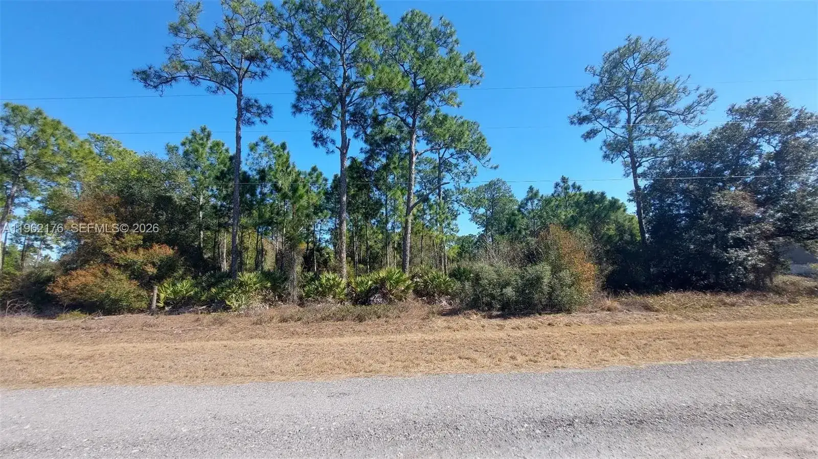 665 S Palm St, Clewiston FL 33440 photo 3