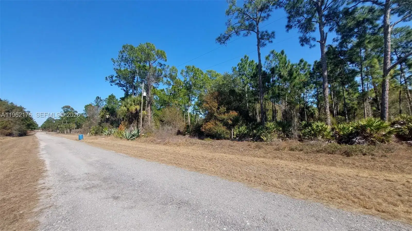 665 S Palm St, Clewiston FL 33440 photo 5