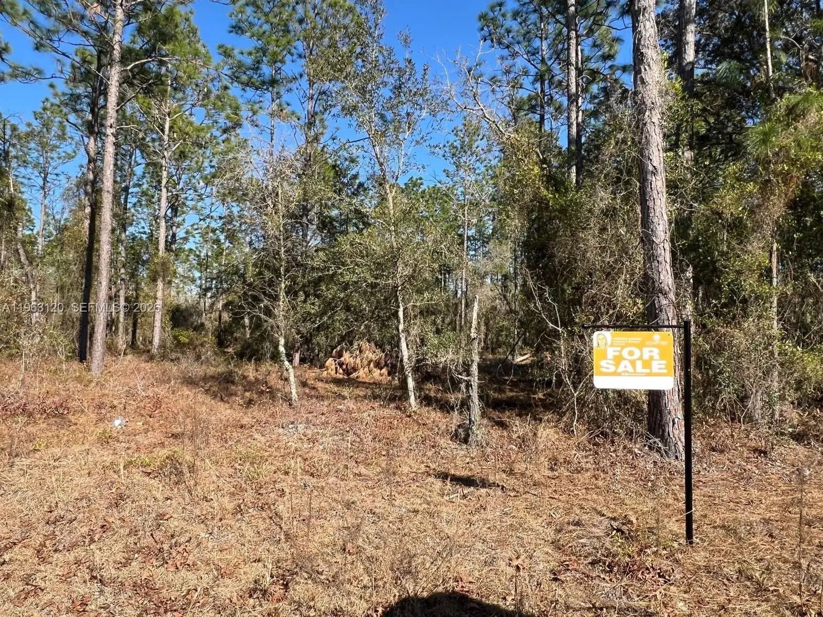 000 Rainbow Lakes Estates, Other City - In The State Of Florida FL 34431 photo 3