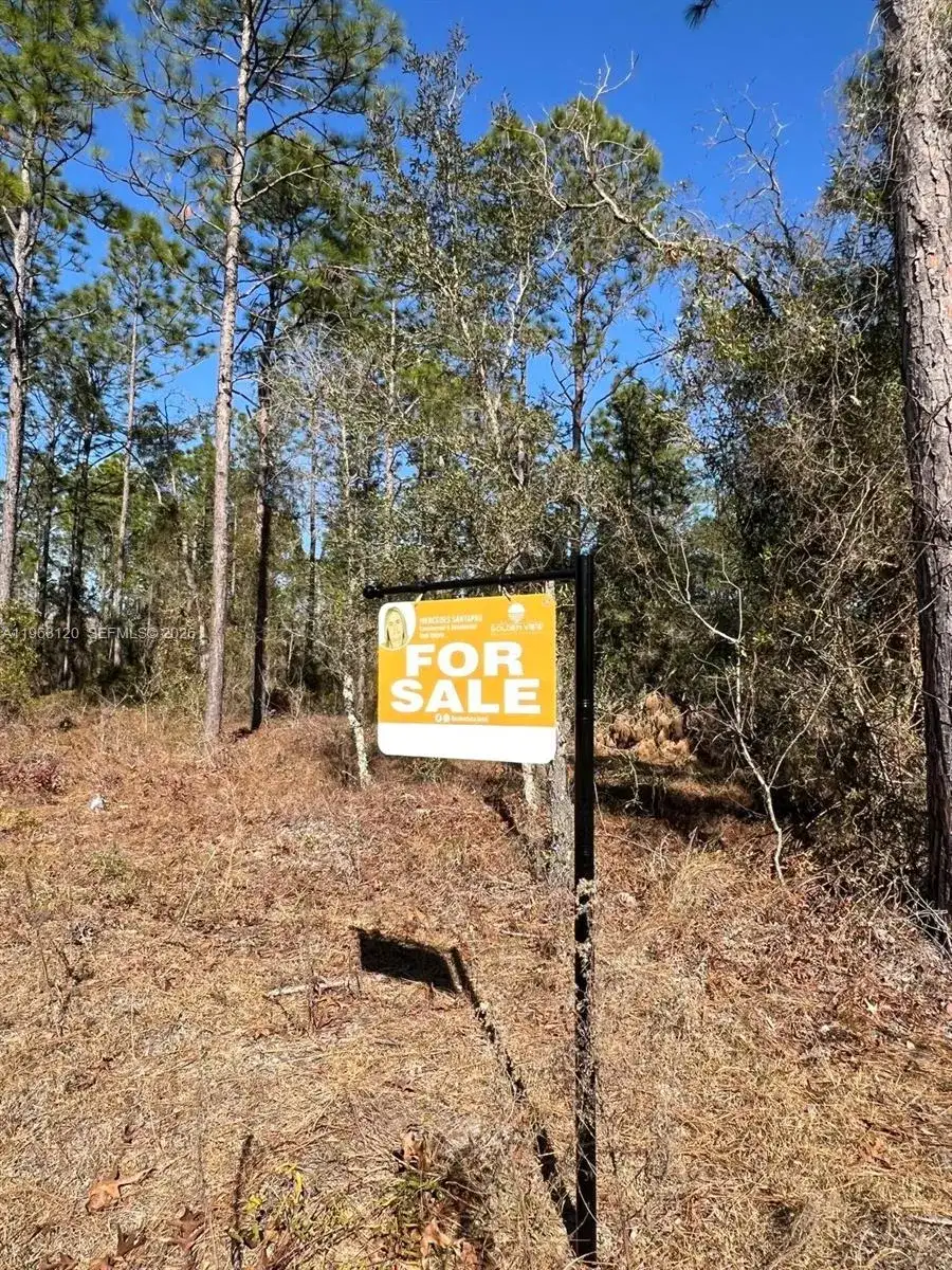 000 Rainbow Lakes Estates, Other City - In The State Of Florida FL 34431 photo 4