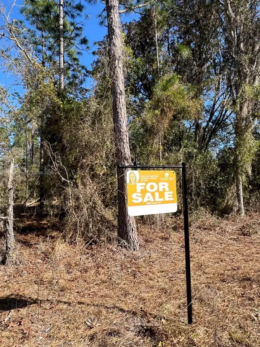 000 Rainbow Lakes Estates, Other City - In The State Of Florida FL 34431 photo 5