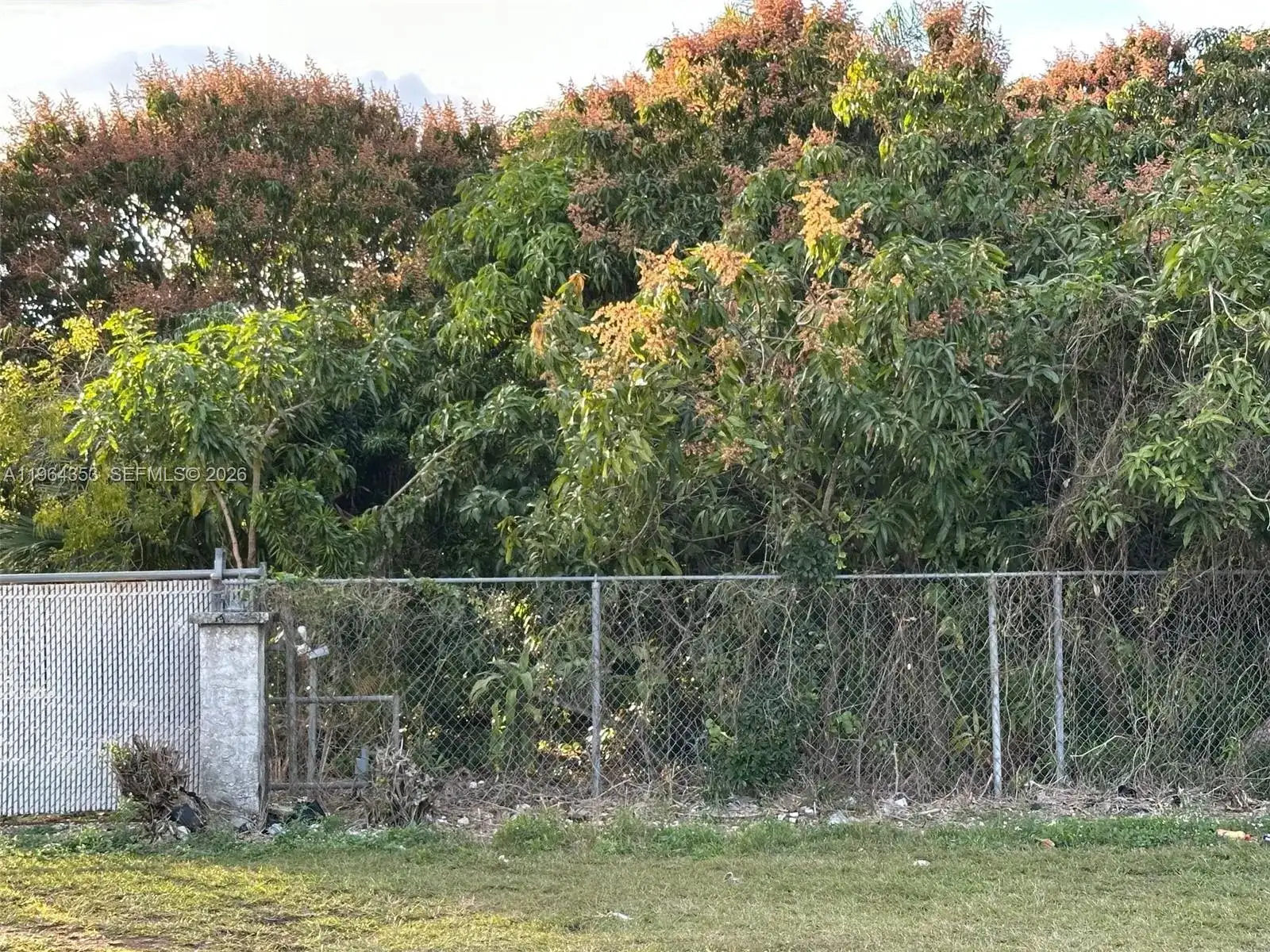 26840 SW 167th Ave, Homestead FL 33031 photo 2