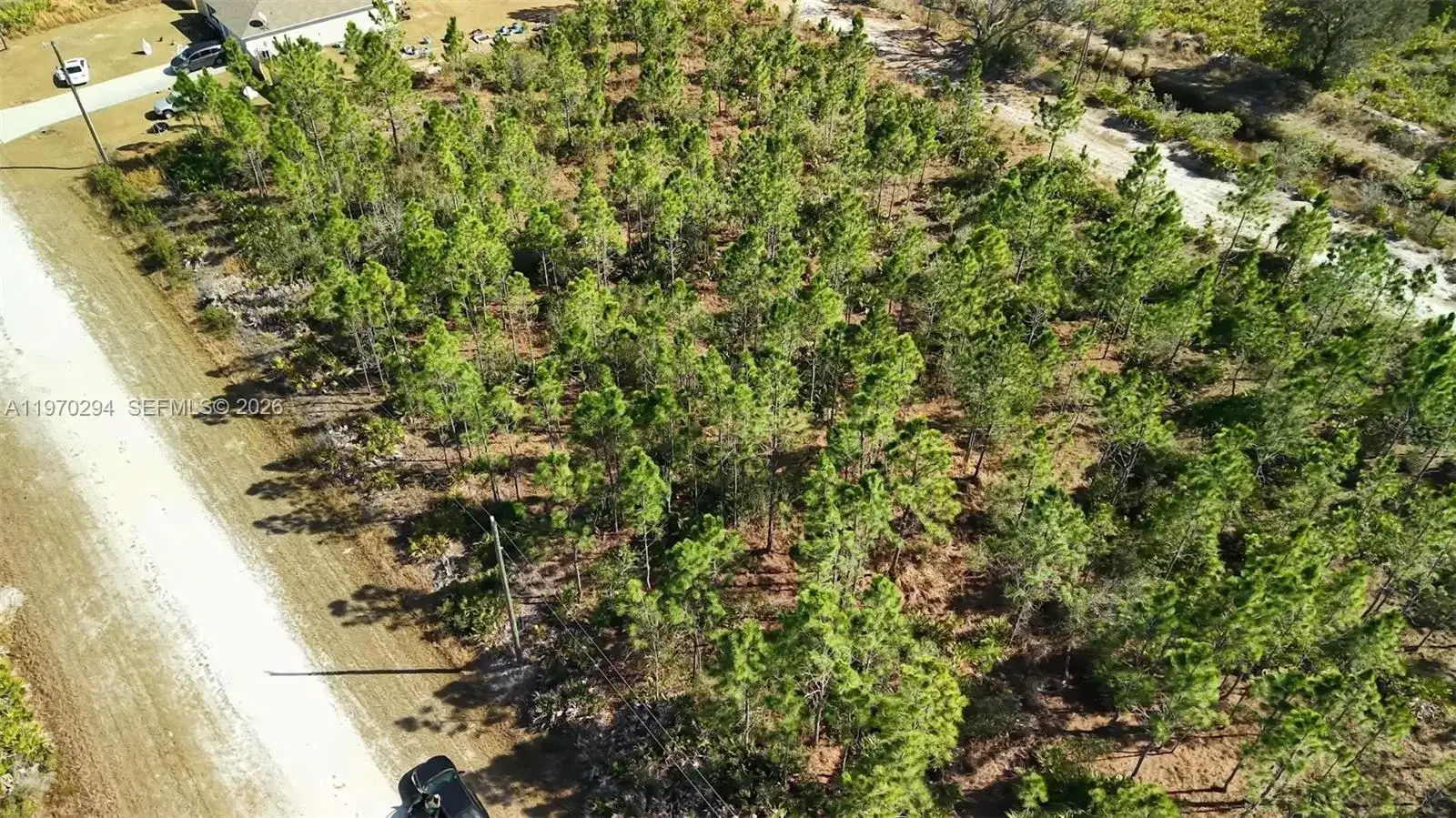 0 PORTULACA DR, Other City - In The State Of Florida FL 33855 photo 5