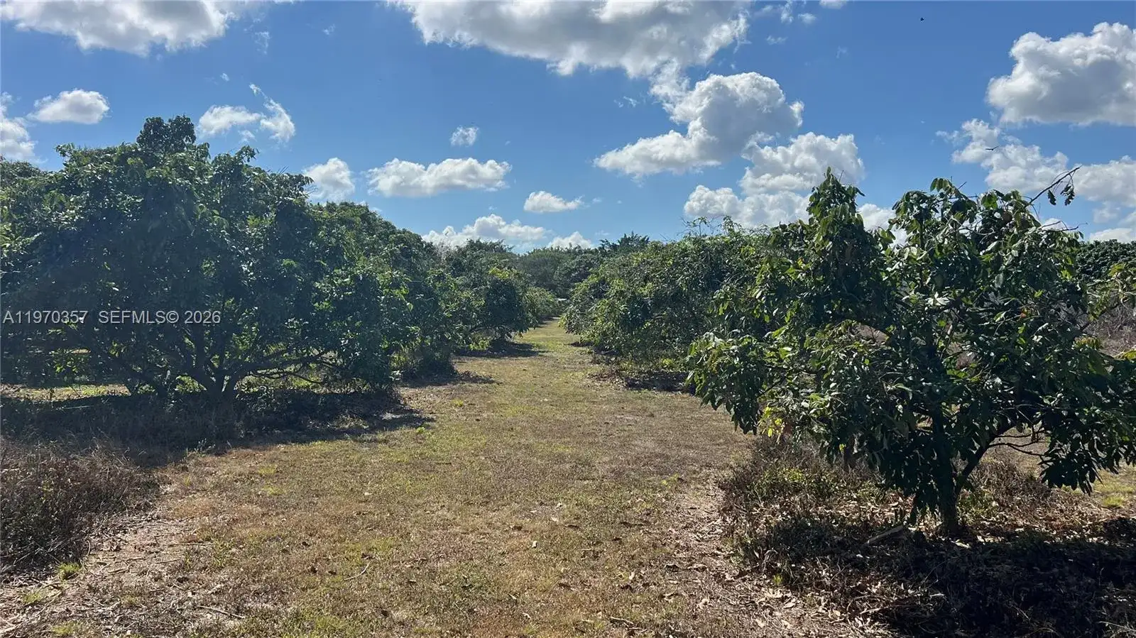 SW, Miami FL 33187 photo 2