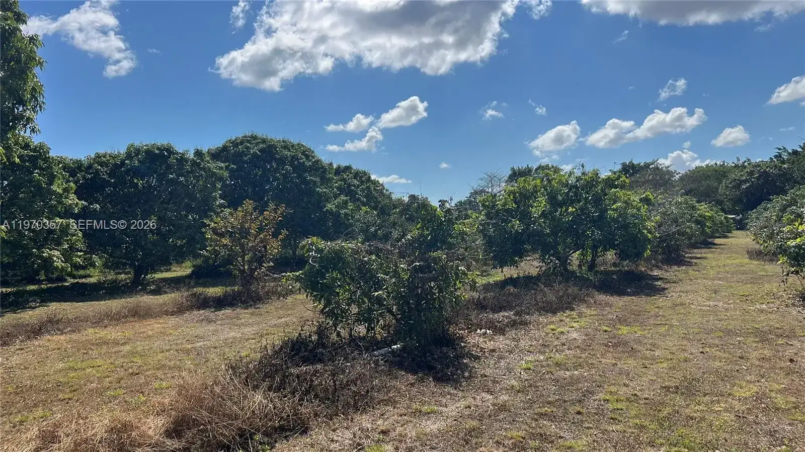 SW, Miami FL 33187 photo 3