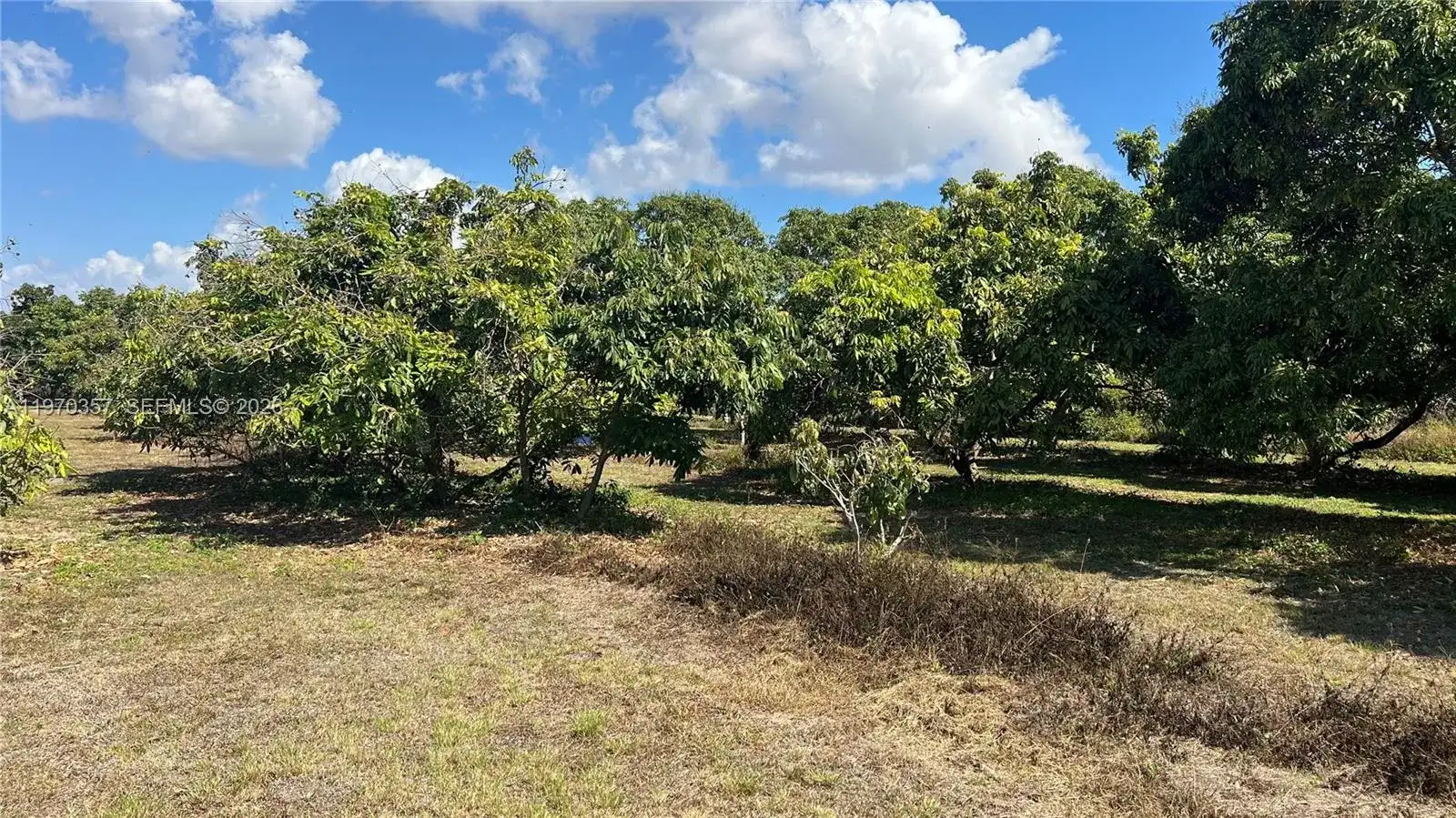 SW, Miami FL 33187 photo 5