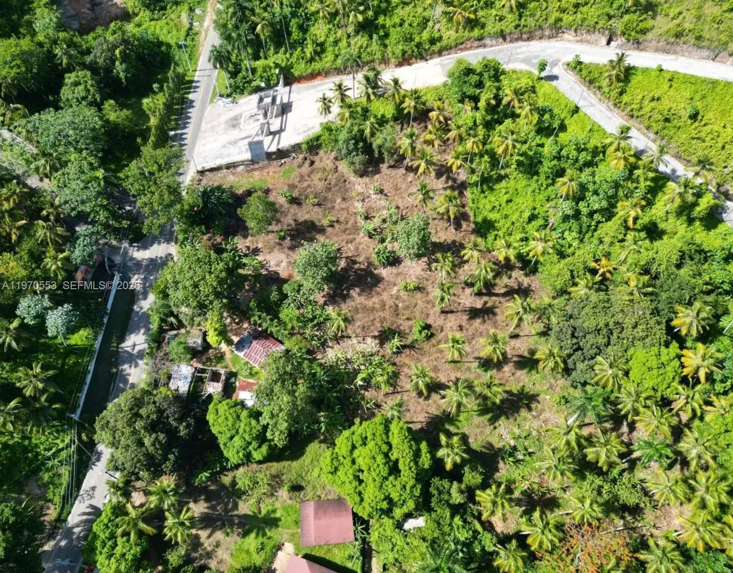000 7CWM+V4G Las Terrenas, Dominican Republic, FL photo 2