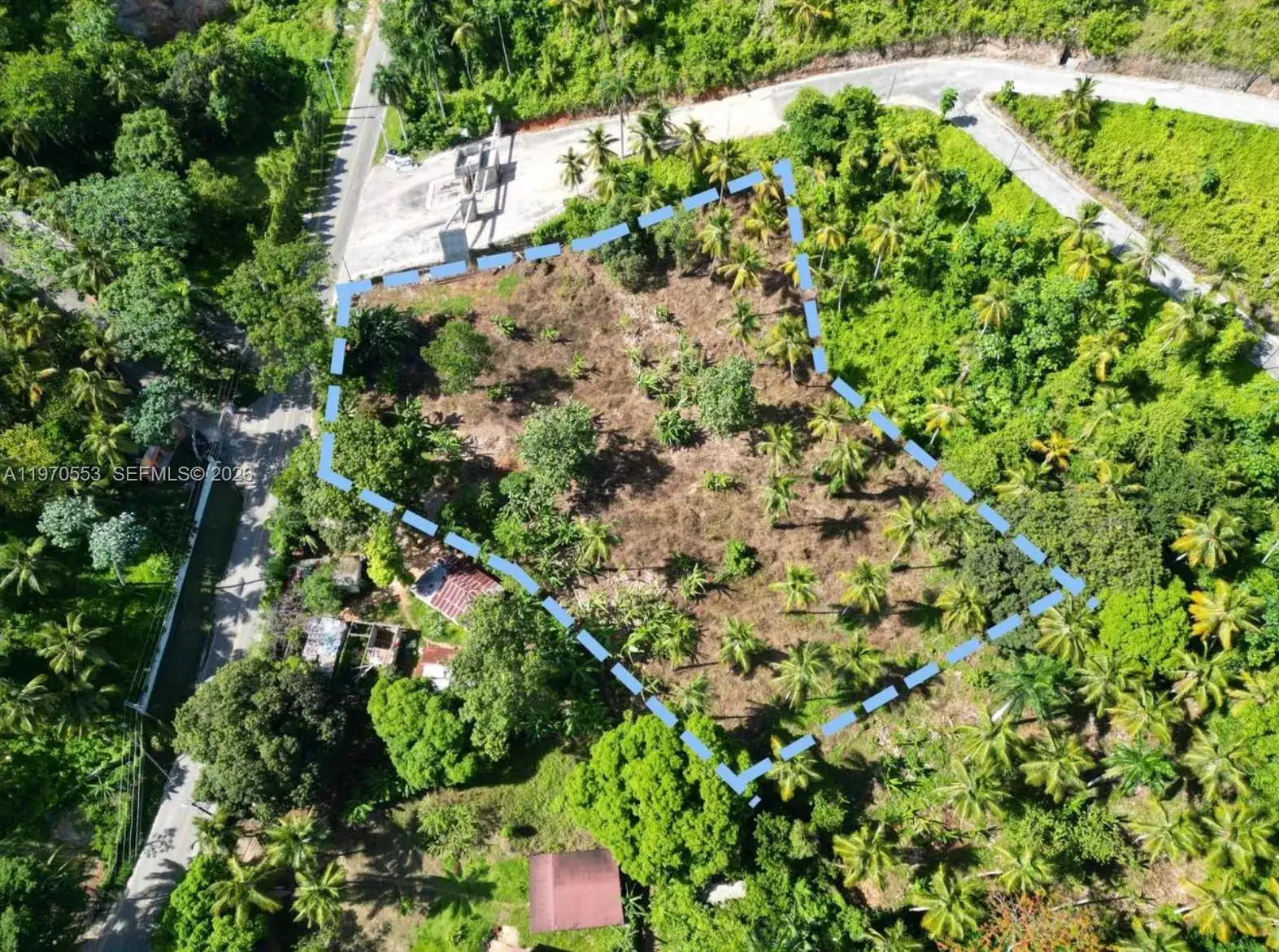 000 7CWM+V4G Las Terrenas, Dominican Republic, FL photo 3