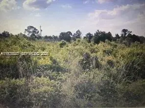 330 Hermosa ave, Lehigh Acres FL 33974