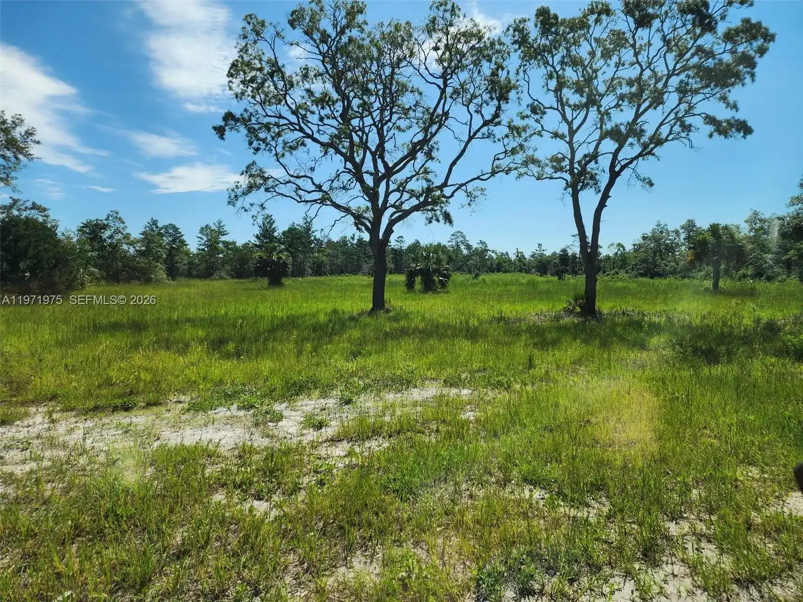 Beach Rd, Other City - In The State Of Florida FL 32348