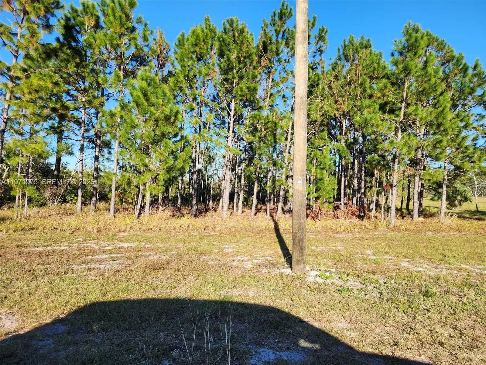 Beach Rd, Other City - In The State Of Florida FL 32348 photo 5