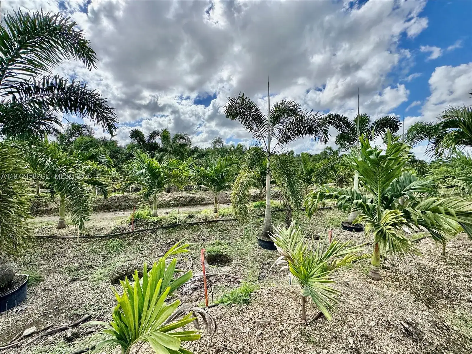 32802 SW 202 Ave, Homestead FL 33034 photo 3