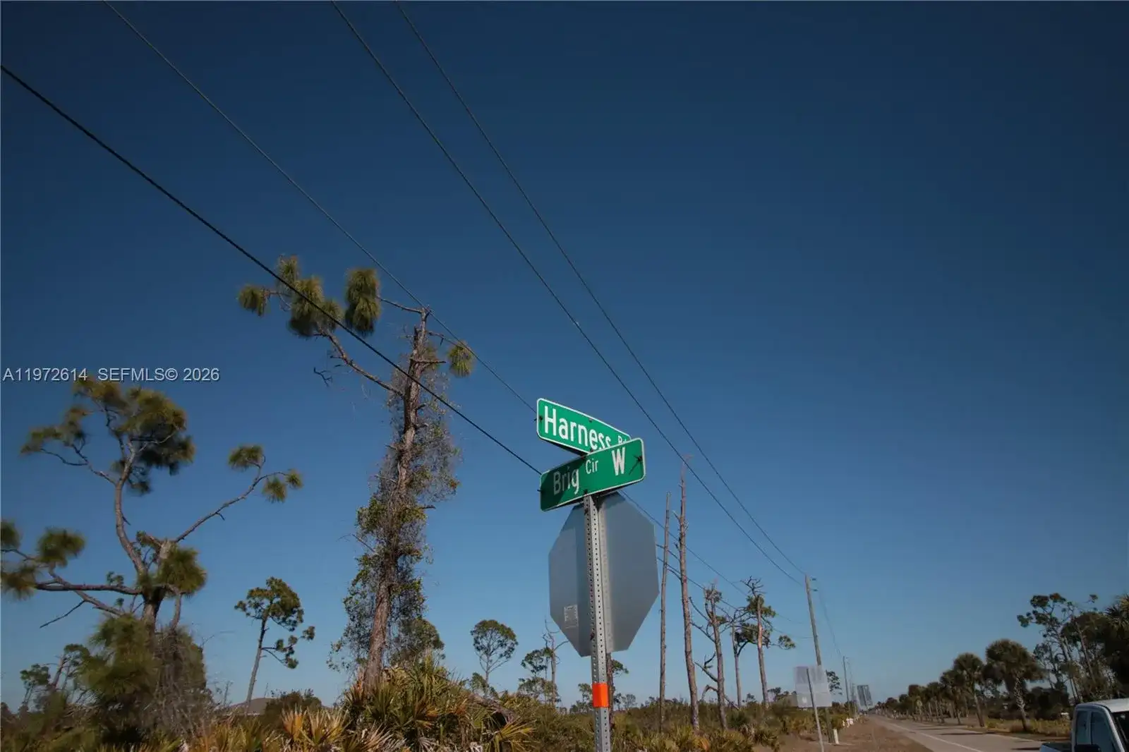 26 HARNESS, Other City - In The State Of Florida FL 33946 photo 4
