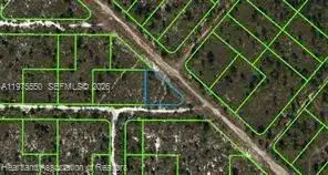 532 Nichele Boulevard, Lake Placid FL 33852 photo 3