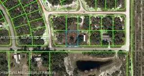 212 Impatiens Street, Lake Placid FL 33852 photo 3
