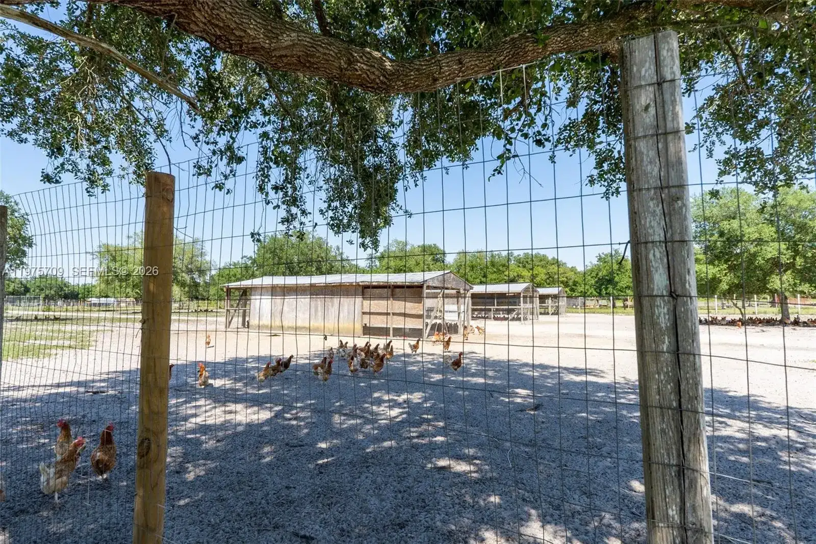 21810 NW 270TH ST, Okeechobee FL 34972 photo 5