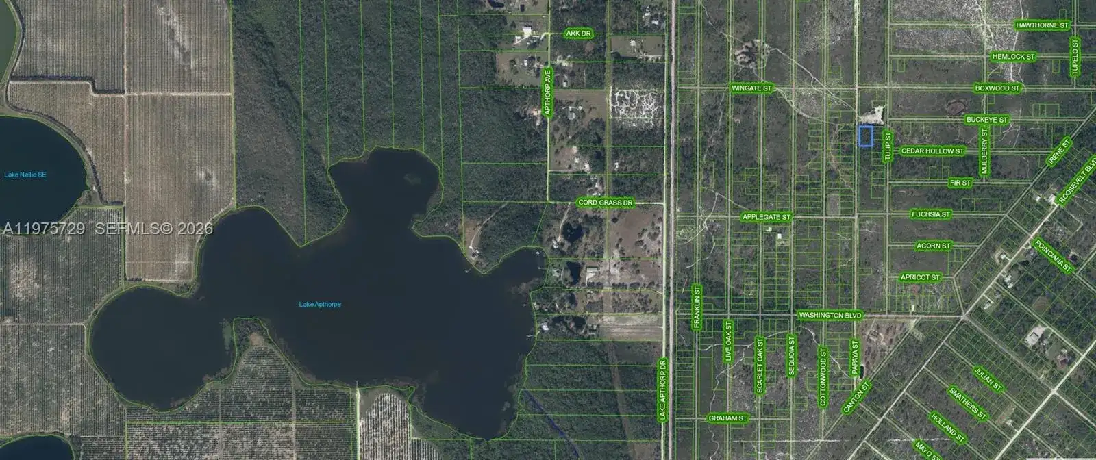 881 Papaya Street, Lake Placid FL 33852 photo 2