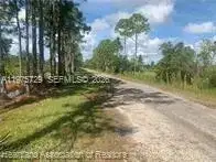 881 Papaya Street, Lake Placid FL 33852 photo 4