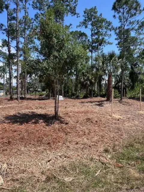 718 Columbus Avenue, Lehigh Acres FL 33972 photo 2