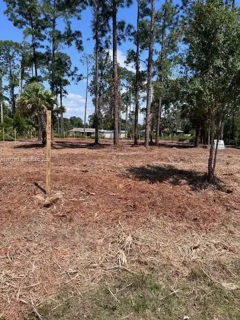 718 Columbus Avenue, Lehigh Acres FL 33972 photo 4