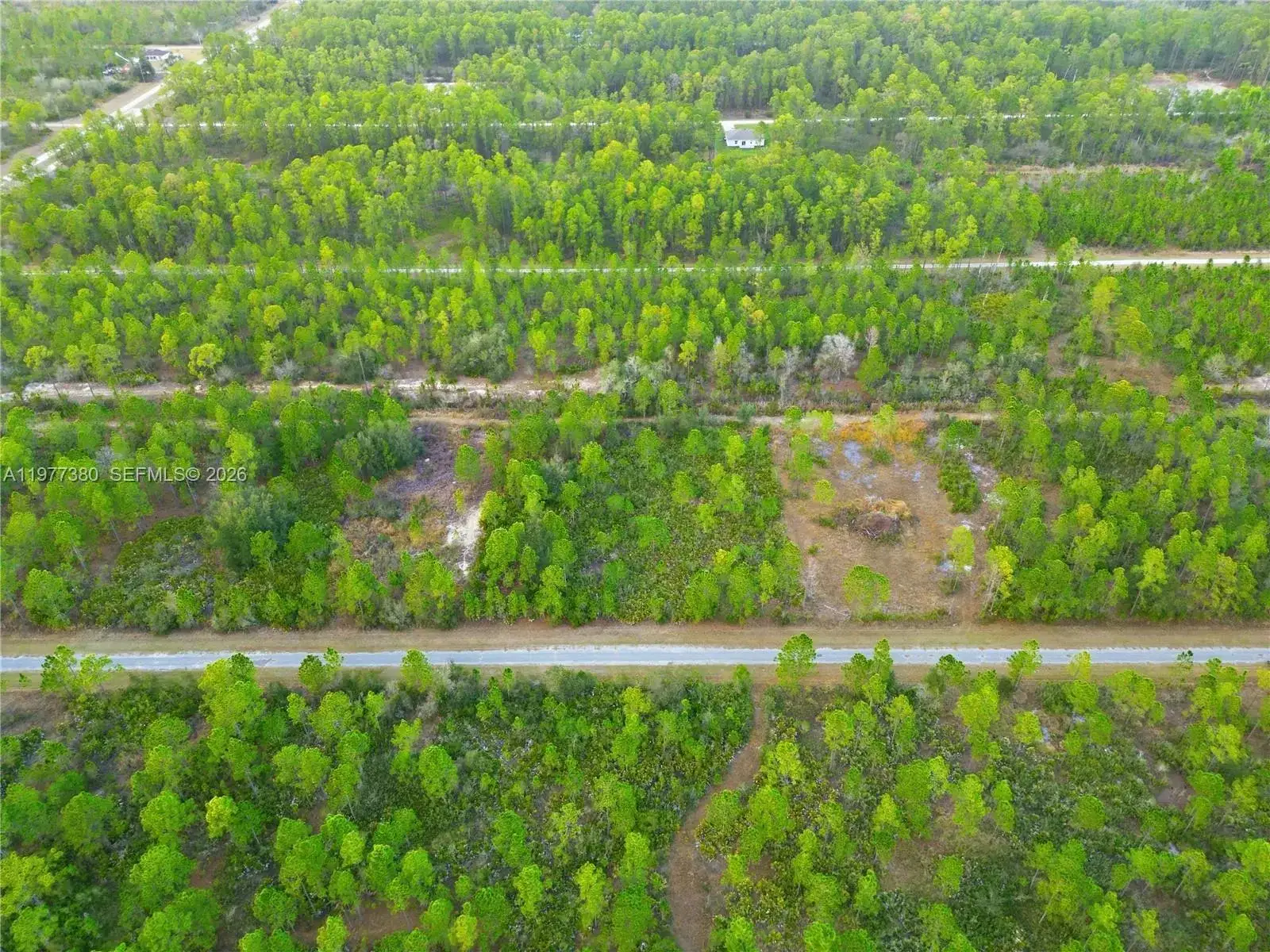 310 TROPICANA DR, Lake Wales FL 33855 photo 2