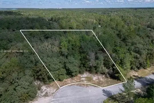 174 Street, Ocala FL 34473 photo 5