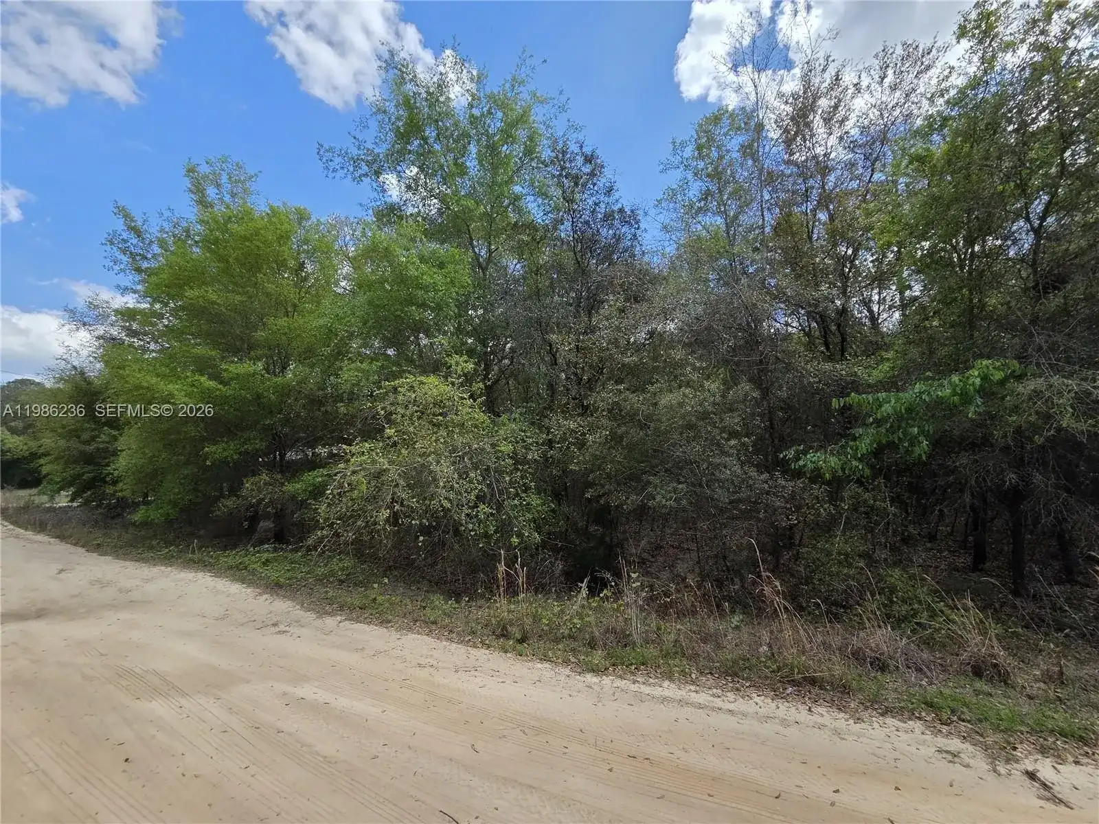 5821 CRATER LAKE CIR S, Other City - In The State Of Florida FL 32656 photo 2
