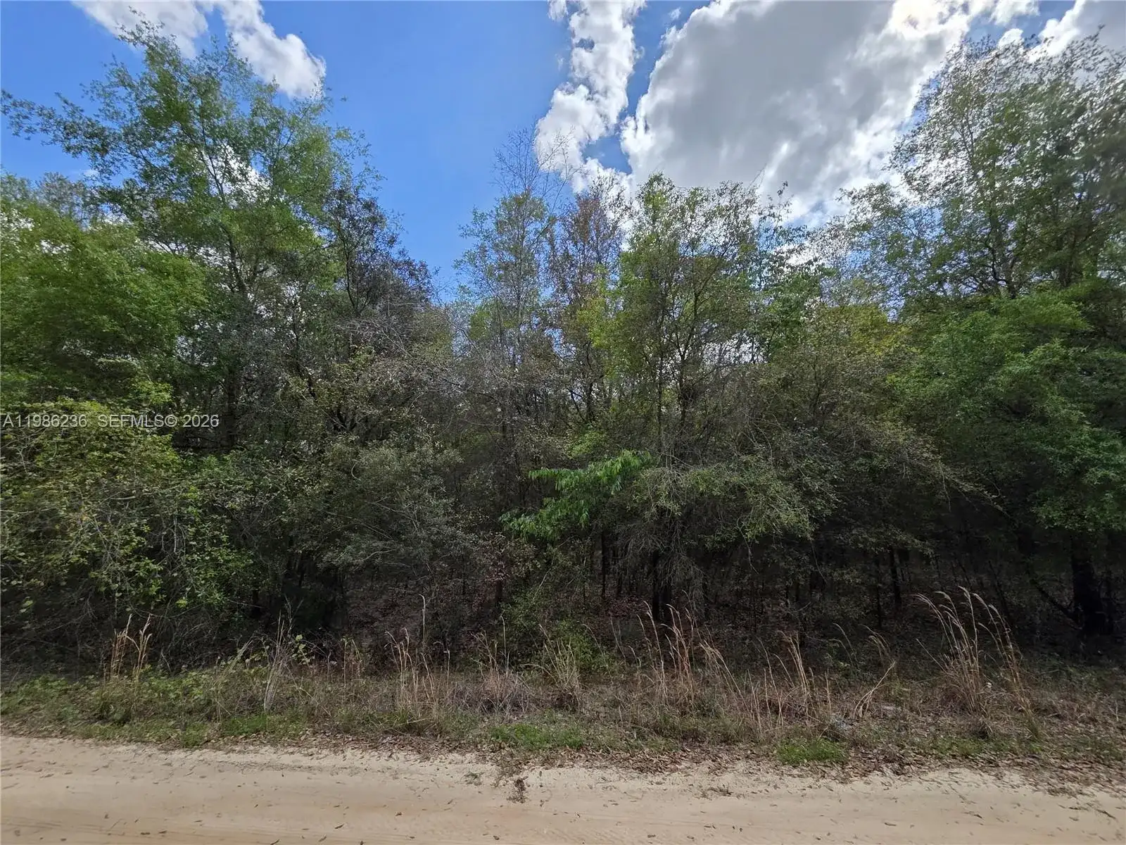 5821 CRATER LAKE CIR S, Other City - In The State Of Florida FL 32656 photo 4