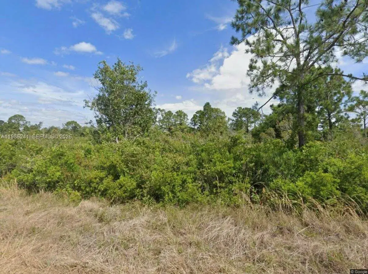 Land/Boat Docks for sale at 1081 BEAVER ST, Lake Placid FL 33852