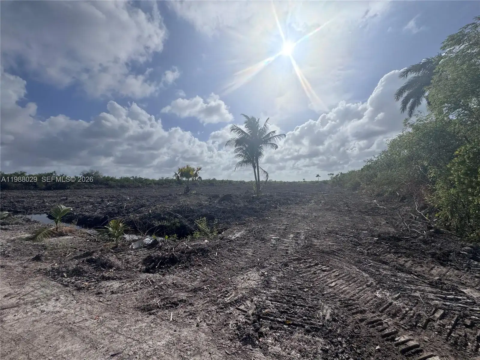 122 ave sw 332 st, Homestead FL 33035 photo 5