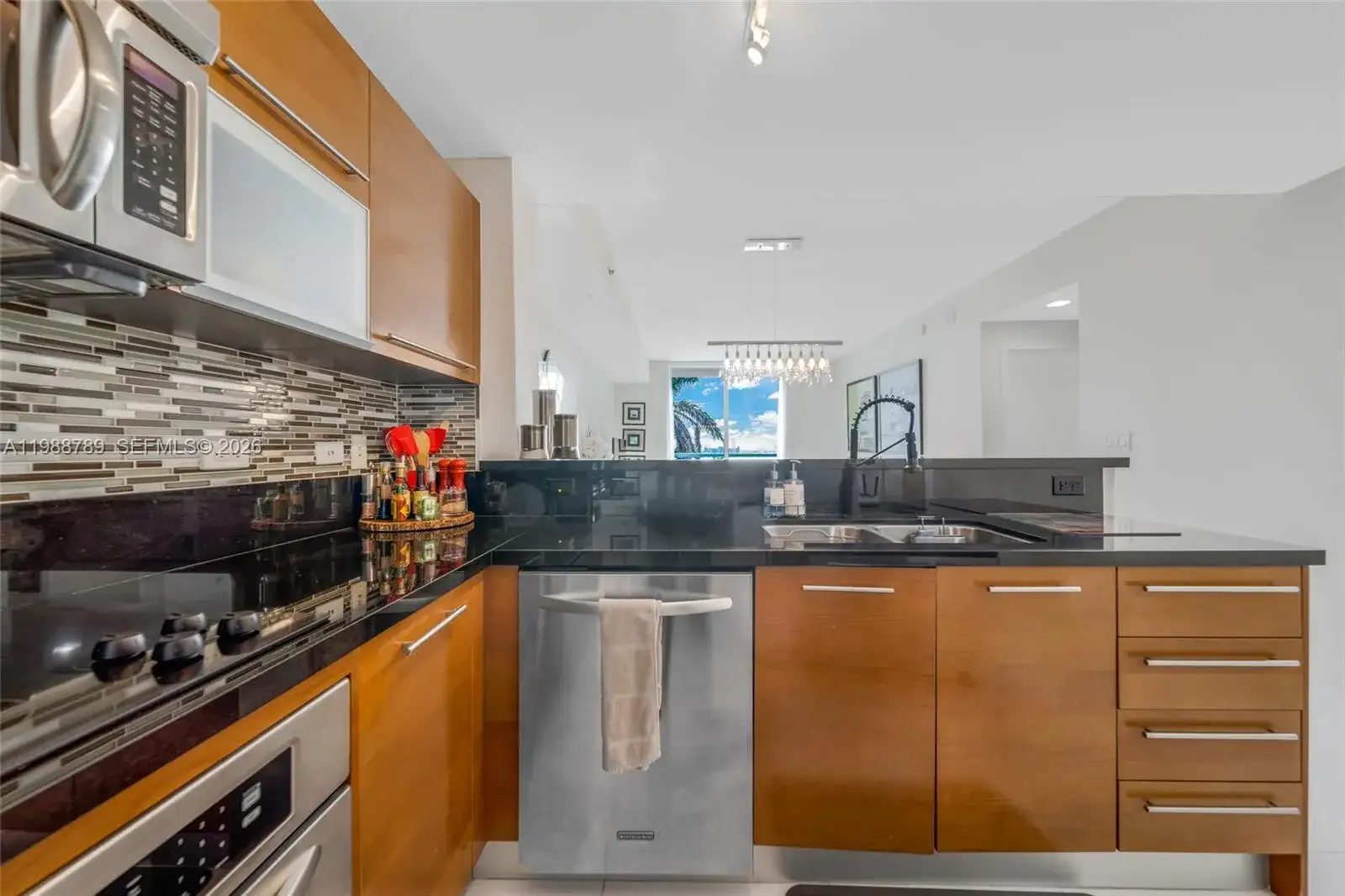 253 NE 2nd St # 1109, Miami FL 33132 photo 4