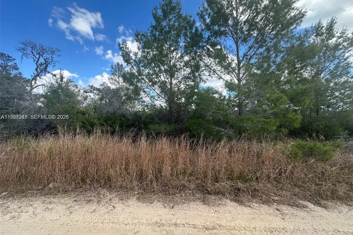123 DARTMOOR AVE, Lake Placid FL 33852