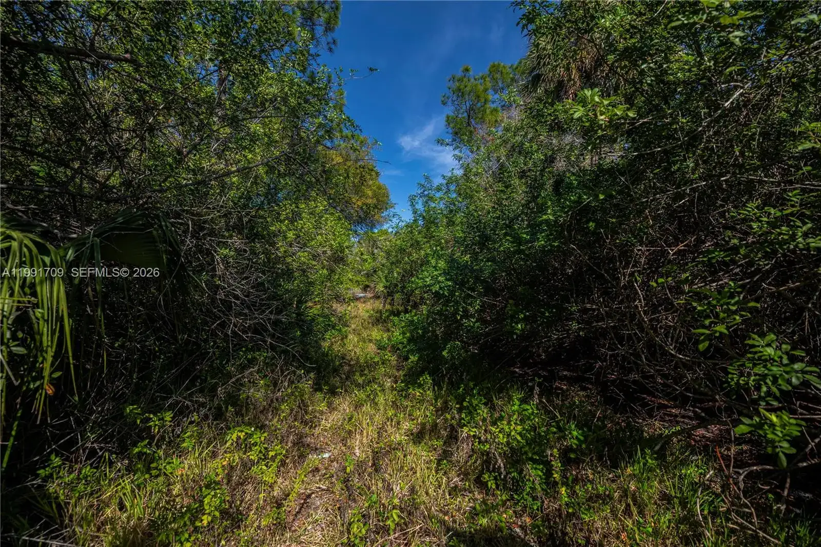 850 G RD, La Belle FL 33935 photo 5