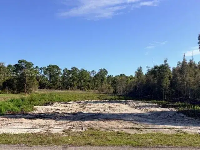 870 E Arturo St, Lehigh Acres FL 33974 photo 2