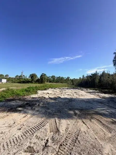 870 E Arturo St, Lehigh Acres FL 33974 photo 3