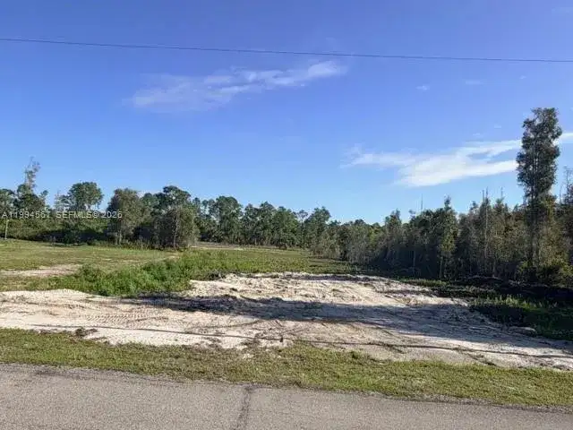 870 E Arturo St, Lehigh Acres FL 33974 photo 5