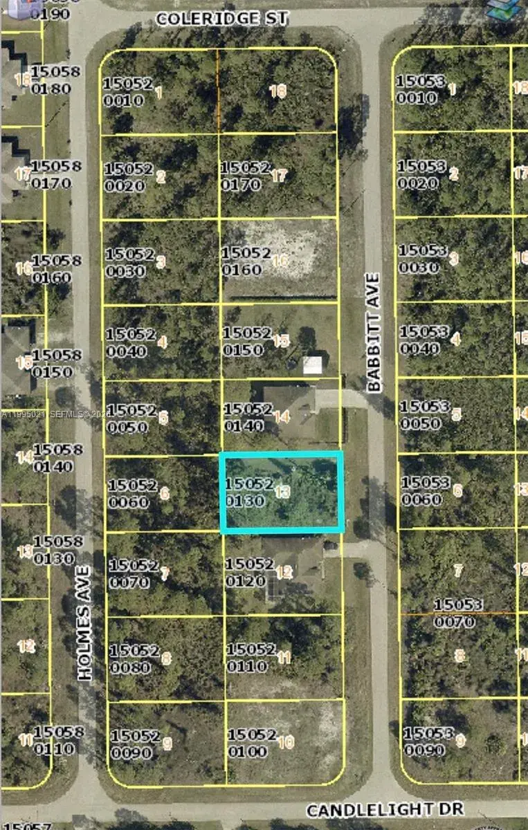 858 Babbit Ave, Lehigh Acres FL 33974
