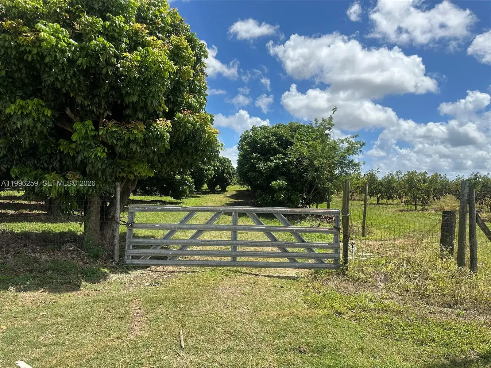 206XX SW 344 ST, Homestead FL 33034 photo 2
