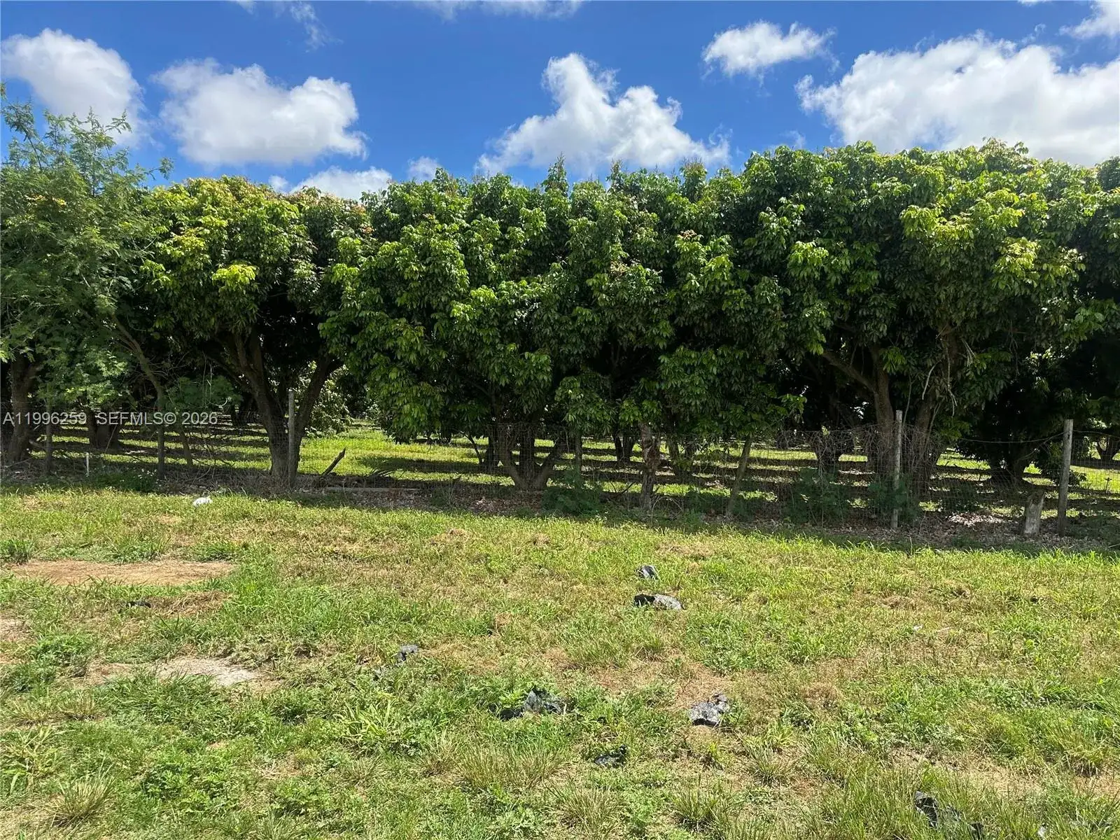 206XX SW 344 ST, Homestead FL 33034 photo 3