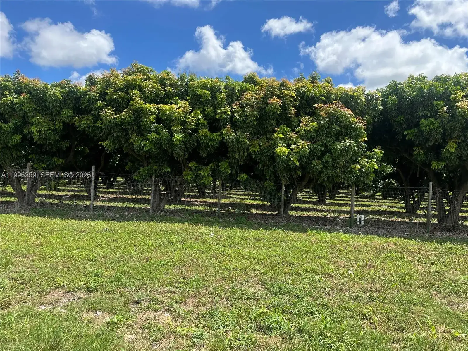 206XX SW 344 ST, Homestead FL 33034 photo 4